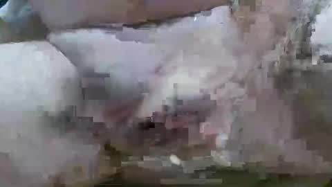 Snapshot of troy1965 chatting on 02/11/26, 06:07 troy1965 online show from 02/11/26, 06:07