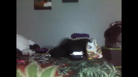 trublu2018 online show from 01/17/26, 07:35