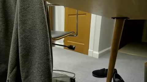 Snapshot of try1099 chatting on 12/17/24, 04:00 Very Happy man online show from 12/17/24, 04:00