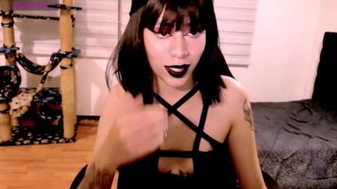 Cait online show from 12/20/25, 04:41