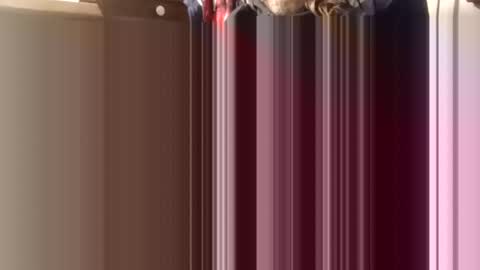 trypodman online show from 12/11/24, 04:31