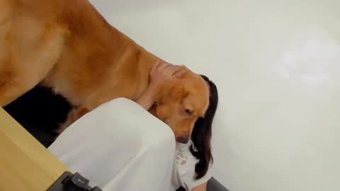 ts_danielahugecock_xxx online show from 12/31/24, 12:43