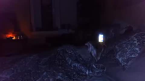 Snapshot of tsamberwhite007 chatting on 10/29/25, 03:20 Amber White online show from 10/29/25, 03:20