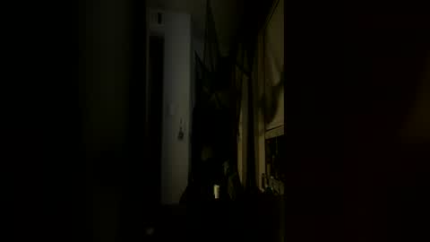 Snapshot of tsbrinks chatting on 06/13/26, 01:03 tsbrinks online show from 06/13/26, 01:03