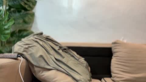 kendall online show from 09/17/25, 07:37