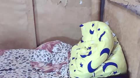 carmella online show from 12/29/24, 02:38