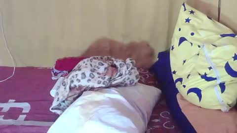 carmella online show from 10/11/25, 02:00