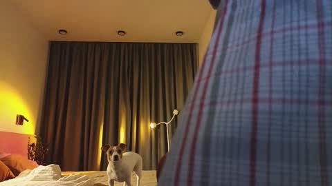 Ariana online show from 12/03/25, 09:46