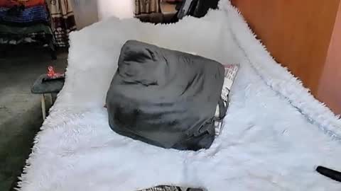 Lana online show from 03/11/25, 01:37