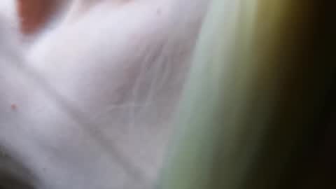 Vicky  Victor online show from 03/07/25, 04:44