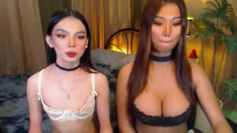 Snapshot of twinktransshanel chatting on 10/08/25, 05:05 twinktransshanel online show from 10/08/25, 05:05