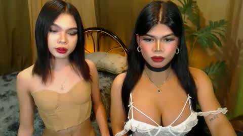 Snapshot of twinktransshanel chatting on 10/20/25, 10:16 twinktransshanel online show from 10/20/25, 10:16