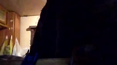 Snapshot of twiztidleeanna69 chatting on 02/01/25, 12:05 Tintilizing Excitement online show from 02/01/25, 12:05