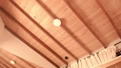 Twiggy online show from 02/27/25, 11:37