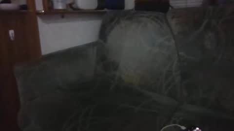 tybud4200 online show from 10/20/25, 07:31