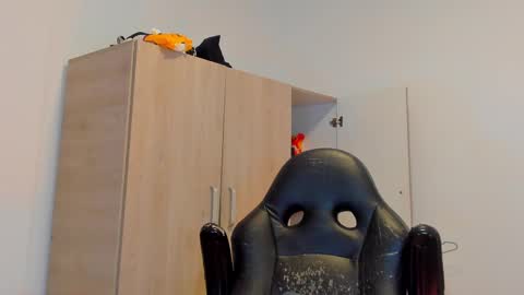     online show from 03/02/25, 10:59