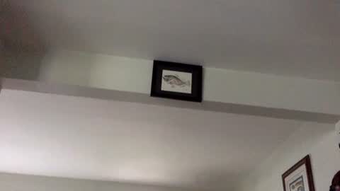 Snapshot of tylerdurden256 chatting on 02/08/25, 06:12 Tyler Durden online show from 02/08/25, 06:12