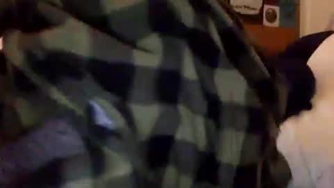 Snapshot of tylerdurden256 chatting on 02/15/25, 01:38 Tyler Durden online show from 02/15/25, 01:38