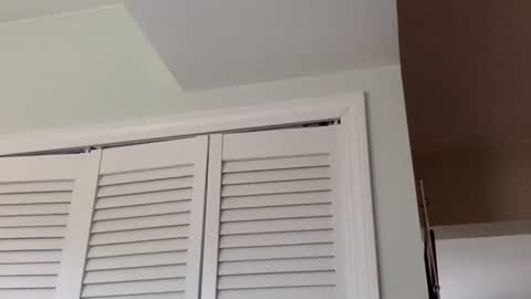 Snapshot of tylerdurden256 chatting on 03/01/25, 03:38 Tyler Durden online show from 03/01/25, 03:38