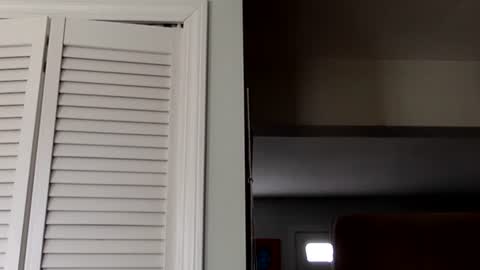 Snapshot of tylerdurden256 chatting on 03/02/25, 07:45 Tyler Durden online show from 03/02/25, 07:45