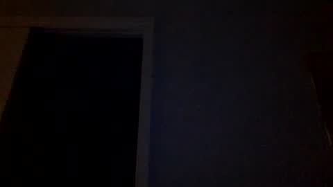 Snapshot of tylerdurden256 chatting on 03/04/25, 12:29 Tyler Durden online show from 03/04/25, 12:29