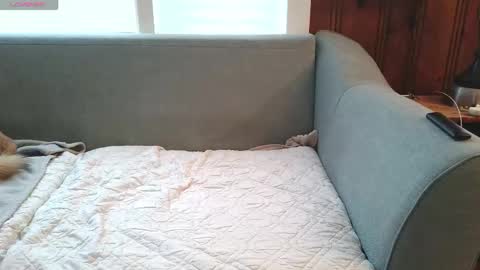 Tyler Sands online show from 12/16/25, 12:54