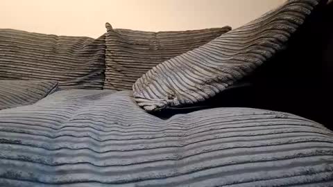 tyson2512 online show from 02/19/26, 03:19