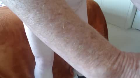 Uncle online show from 04/21/26, 08:53