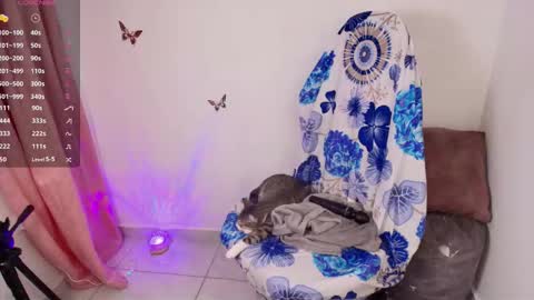 new INSTA   online show from 01/11/26, 02:16