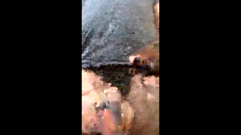 Uramajesty online show from 03/19/26, 12:20