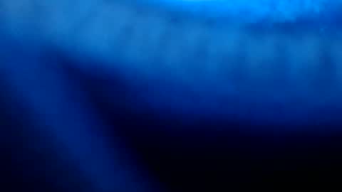 urasian_pinayjessaxxx online show from 07/08/26, 07:13