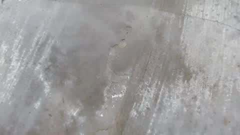 urdreamboy_clarin online show from 04/21/26, 12:44