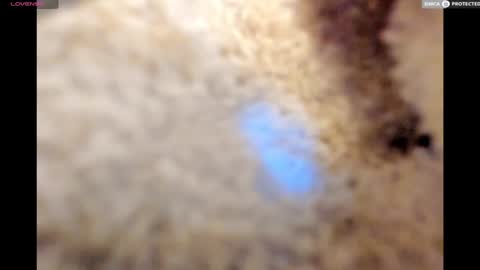 Snapshot of urnewdaddy90 chatting on 01/17/25, 11:18 Big Daddy online show from 01/17/25, 11:18