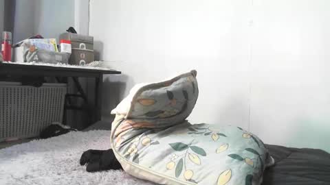 Rbabes online show from 02/03/26, 09:03