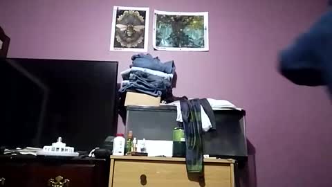 ushavingfun69 online show from 04/01/26, 08:15