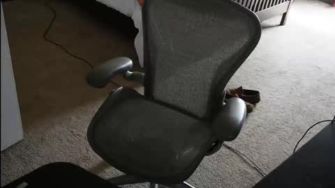 v_for_veng online show from 02/23/26, 05:54