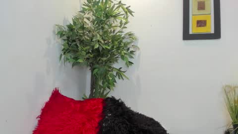 valeri_tafur online show from 11/12/25, 12:33