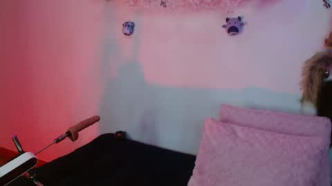 zoe online show from 11/15/25, 09:39