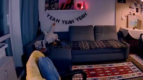 Little Devil online show from 01/17/26, 03:28