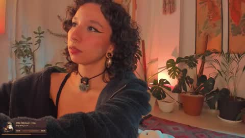      online show from 02/16/26, 11:34