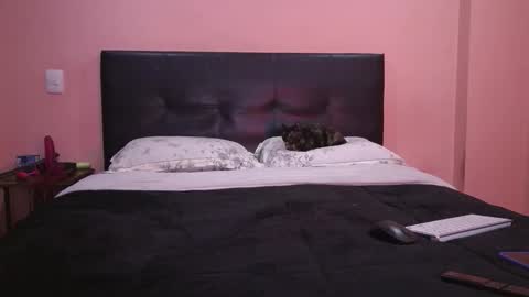 Vamp Noah and Dan online show from 02/11/26, 01:49