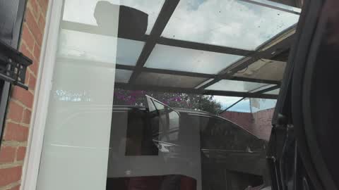 vanessa online show from 04/03/26, 05:00