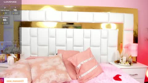 vane_manson online show from 12/27/24, 04:21