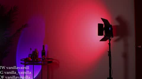 Snapshot of vanilla_velvet chatting on 12/30/24, 12:22 Annabet online show from 12/30/24, 12:22