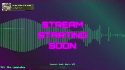 vannivr online show from 01/26/25, 02:56