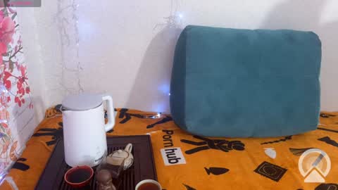 Vasya Sylvia online show from 12/10/24, 08:08