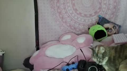 Veronica Lehane online show from 01/09/25, 07:10