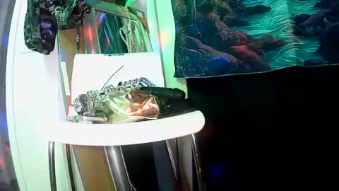 vegasmd online show from 02/27/25, 11:04