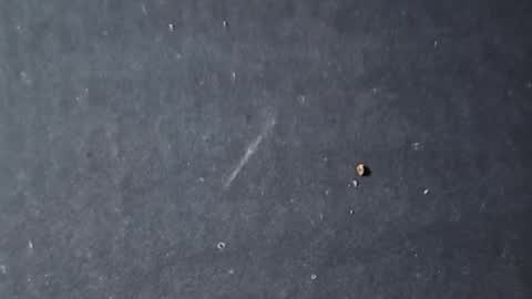 velvetsolez online show from 03/22/26, 09:29