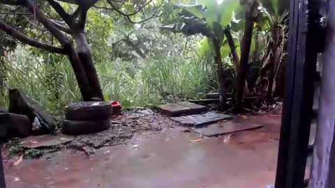 venus ... zeus sheer  online show from 10/27/25, 01:37